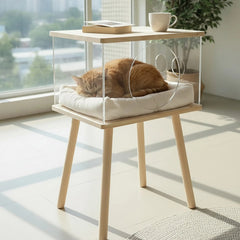 Clear Acrylic Pet Coffee Table with Storage