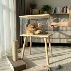 Clear Acrylic Pet Coffee Table with Storage