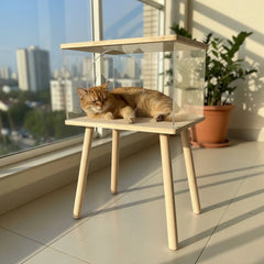 Clear Acrylic Pet Coffee Table with Storage