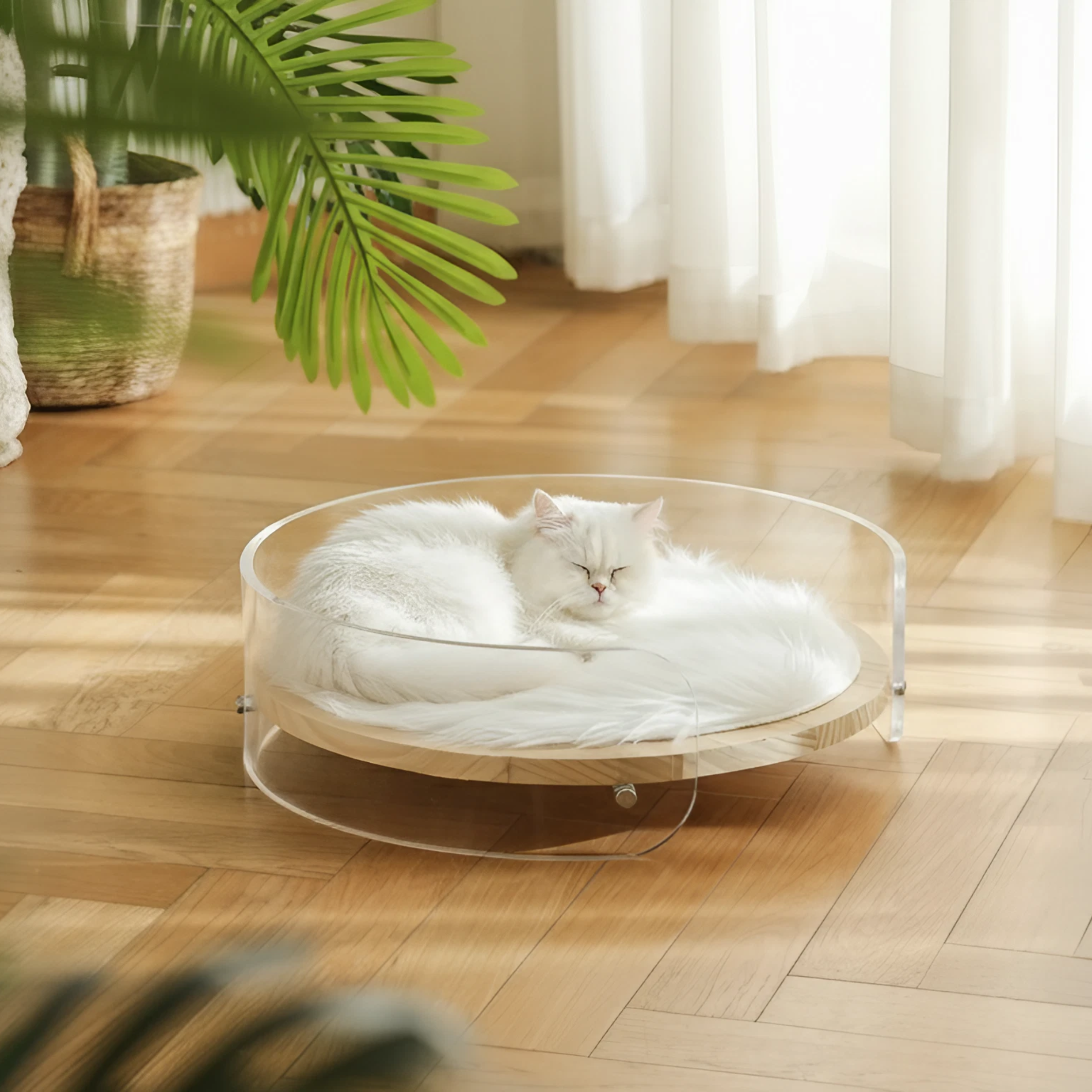 Pet Bed