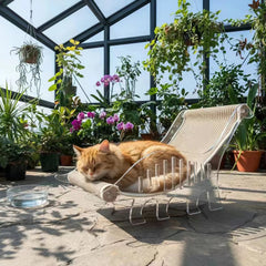 Cat bed for indoor cats  cat scratcher